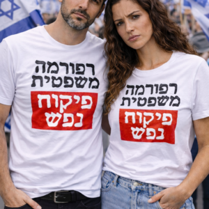 רפורמה משפטית פיקוח נפש